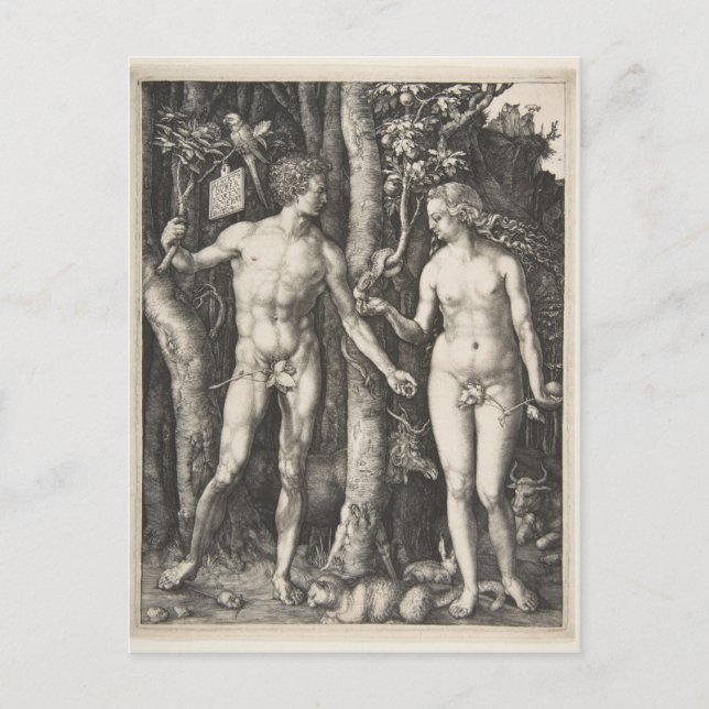 Carte Postale Adam et Eve, 1504 (Devant)