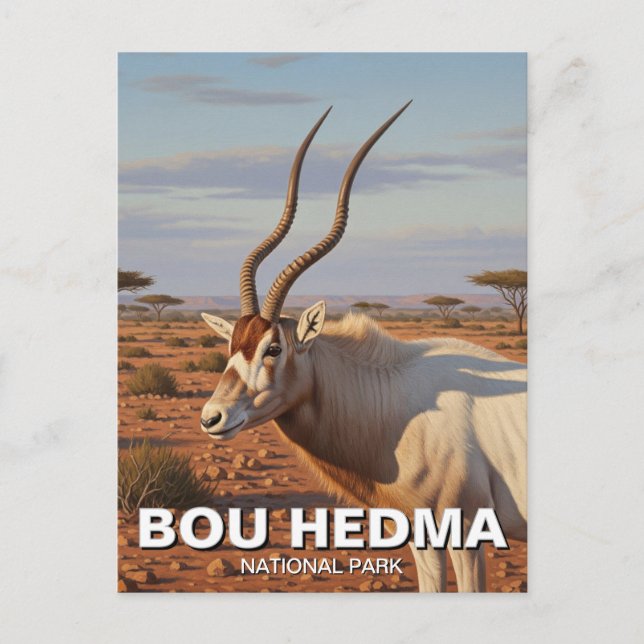 Carte Postale Addax Antelope dans le Parc National de Bou Hedma  (Devant)
