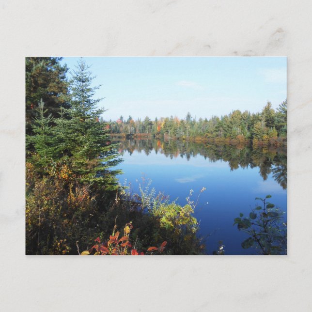 Carte Postale Adirondacks Upper Chub River Scène d'automne (Devant)