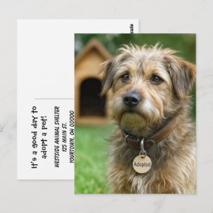 Carte Postale Adopter un animal