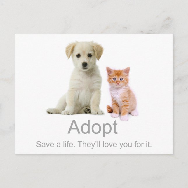 Carte Postale adopter un animal (Devant)