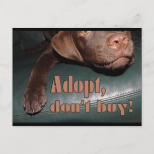Carte Postale Adoptez, n'achetez pas ! - fuxart
