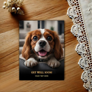 Carte Postale Adorable Cavalier King Charles Spaniel Bon rétabli