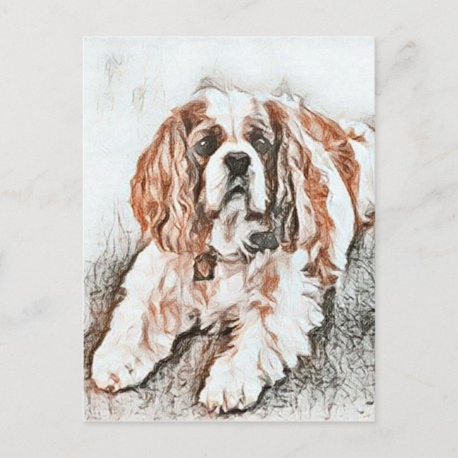 Carte Postale Adorable Cavalier King Charles Spaniel croquis (Devant)