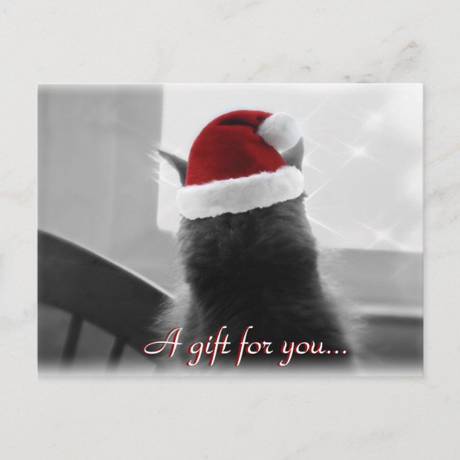 Carte Postale Adorable Certificat cadeau de chat de Noël (Devant)