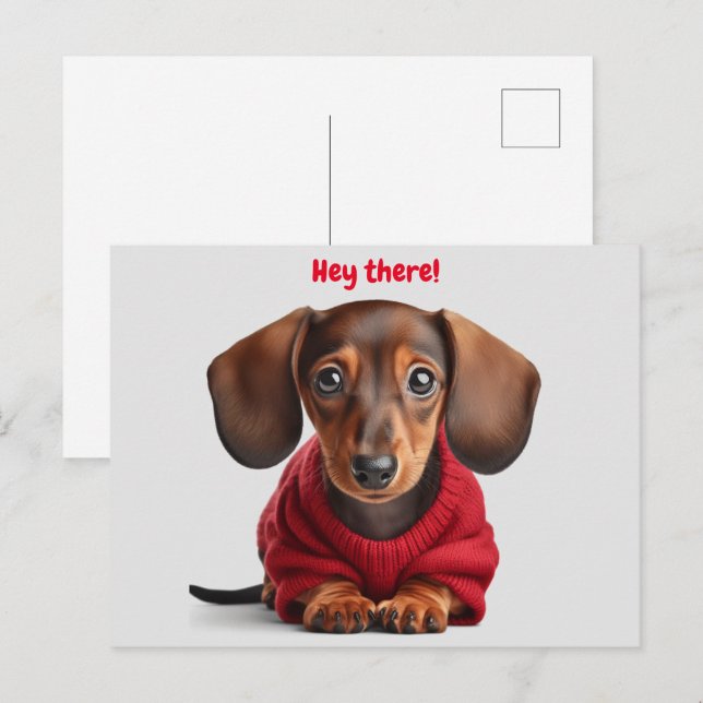 Carte Postale Adorable Chiot Dachshund (Devant / Derrière)