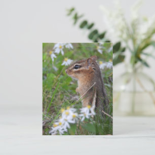 Carte Postale Adorable Chipmunk en fleurs