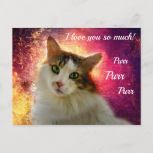 Carte Postale Adorable Cute Calico Chat