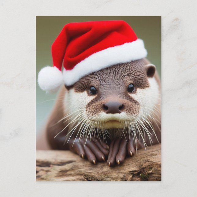 Carte Postale Adorable Otter Santa Hat (Devant)