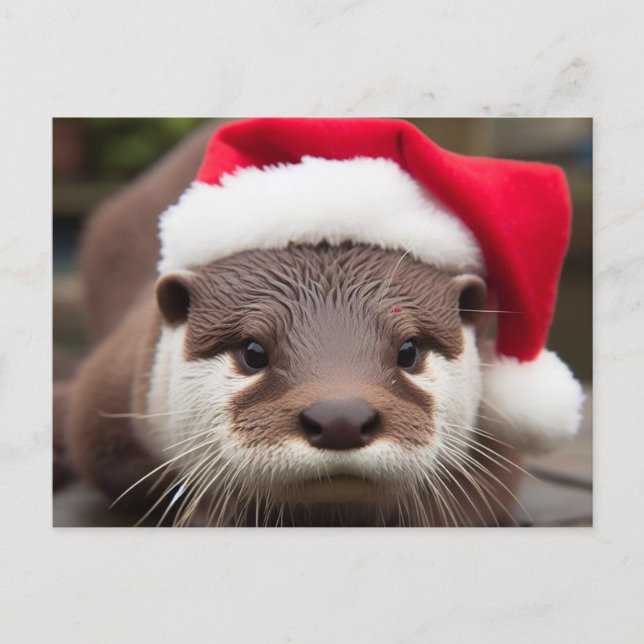 Carte Postale Adorable Otter Santa Hat (Devant)
