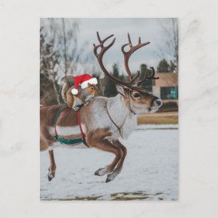 Carte Postale Adorable Père Noël Squirrel Leaper Reinder en Neig