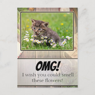 Carte postale adorable Rustique Super Supristen Ki