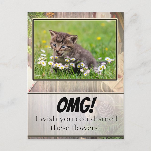 Carte postale adorable Rustique Super Supristen Ki (Devant)