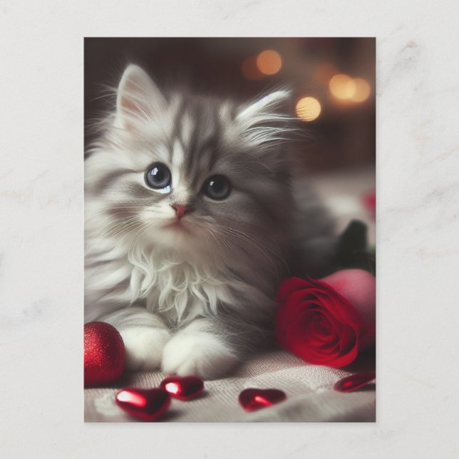 Carte Postale Adorable Saint-Valentin Fluffy Grey Kitten (Devant)