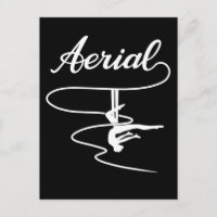 Aerial yoga Women Aerial Silks