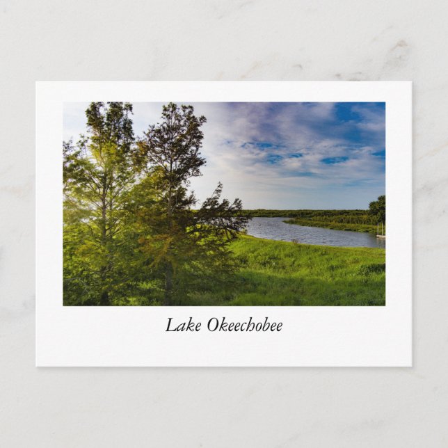 Carte Postale Aérien du lac Okeechobee (Devant)