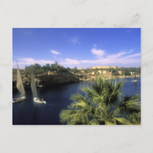 Carte Postale AF, Egypte, Haute Egypte, Assouan. le Nil,