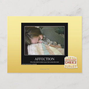 Carte Postale Affection