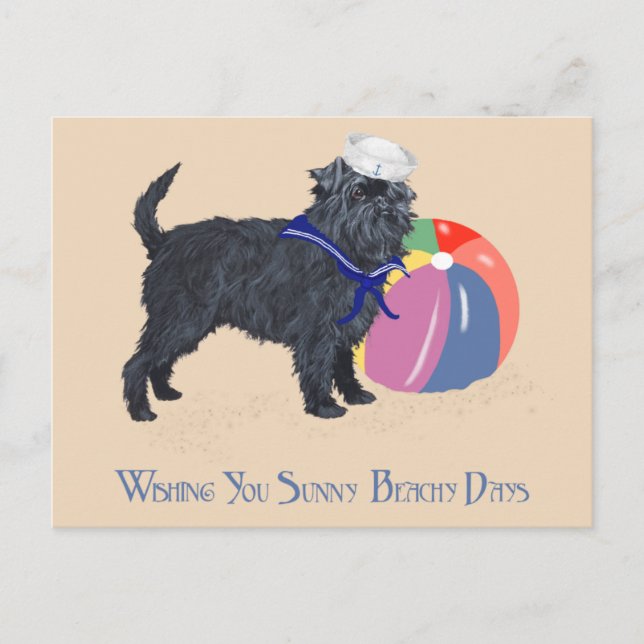Carte Postale Affenpinscher à la plage (Devant)