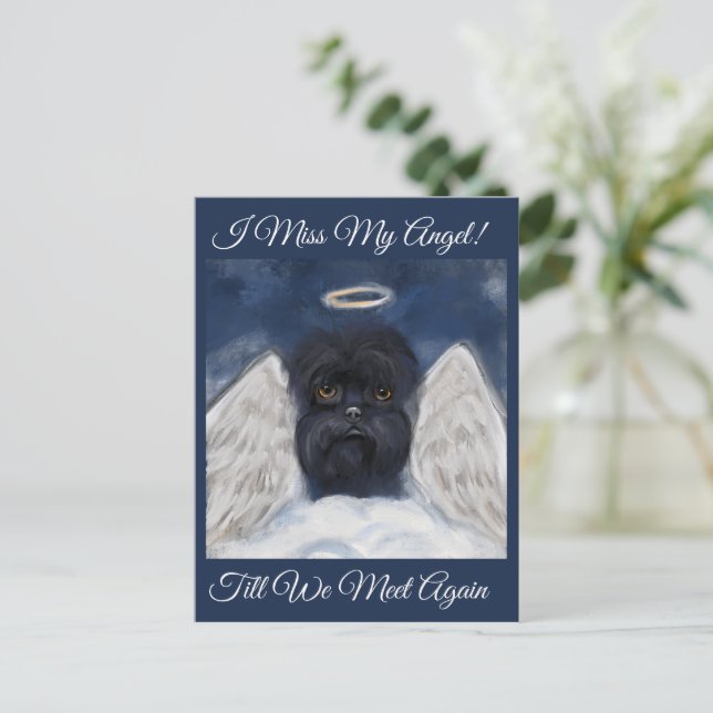 Carte Postale Affenpinscher Angel (Debout devant)