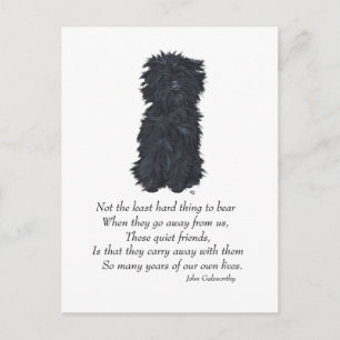 Carte Postale Affenpinscher Keepscher