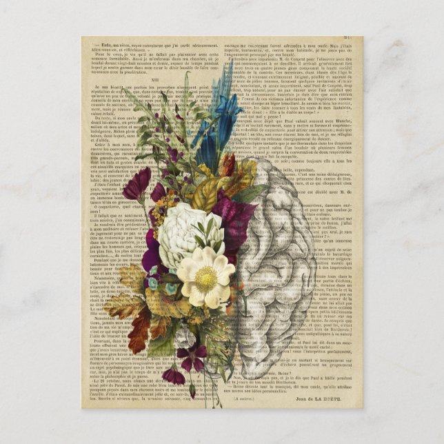 Carte Postale affiche d'anatomie du cerveau floral médical (Devant)