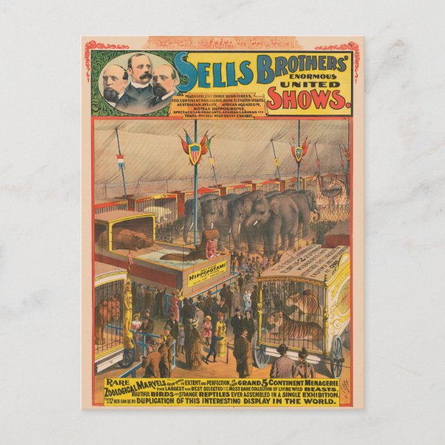 Carte Postale Affiche De Cirque D'Animaux Exposés Dans Une Tente (Devant)