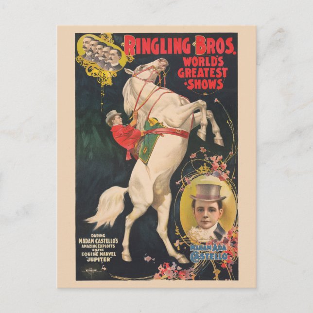 Carte Postale Affiche De Cirque De Madame Ada Castello Sur Un Ch (Devant)