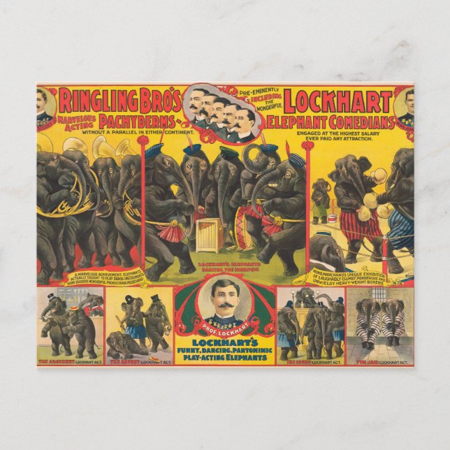 Carte Postale Affiche De Cirque D'Éléphants Qui Se Déroulent (Devant)