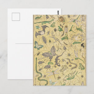 Carte Postale Affiche de style chinoiserie sur les insectes et l