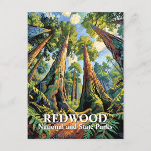 Carte Postale Affiche de style Van Gogh Parc Redwoods Californie