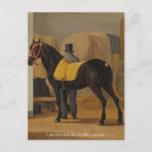 Carte Postale affiche gratuit et perdu