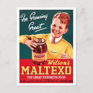 Carte Postale Affiche publicitaire vintage de Nouvelle-Zélande