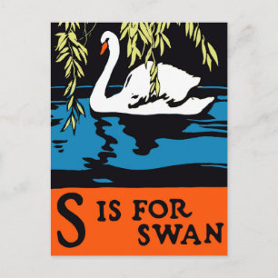 Carte Postale Affiche S pour Cygne