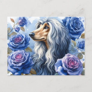 Carte postale Afghan Hound