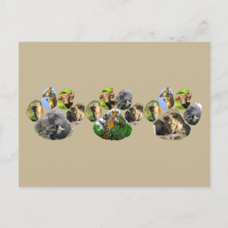 Carte Postale African Wildlife Lion Pawprint triple Collage