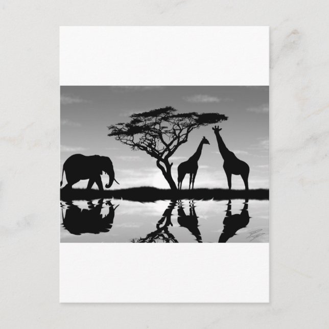 Carte Postale Afrique (Devant)