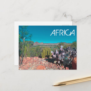 Carte Postale Afrique Désert Paysage Nature Cactus Plantes
