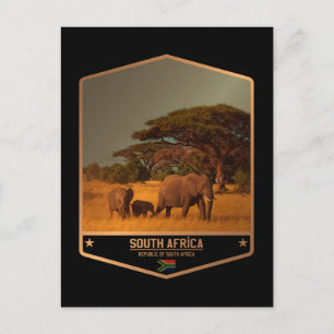 Carte Postale Afrique du Sud