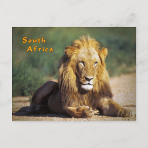 Carte Postale Afrique du Sud