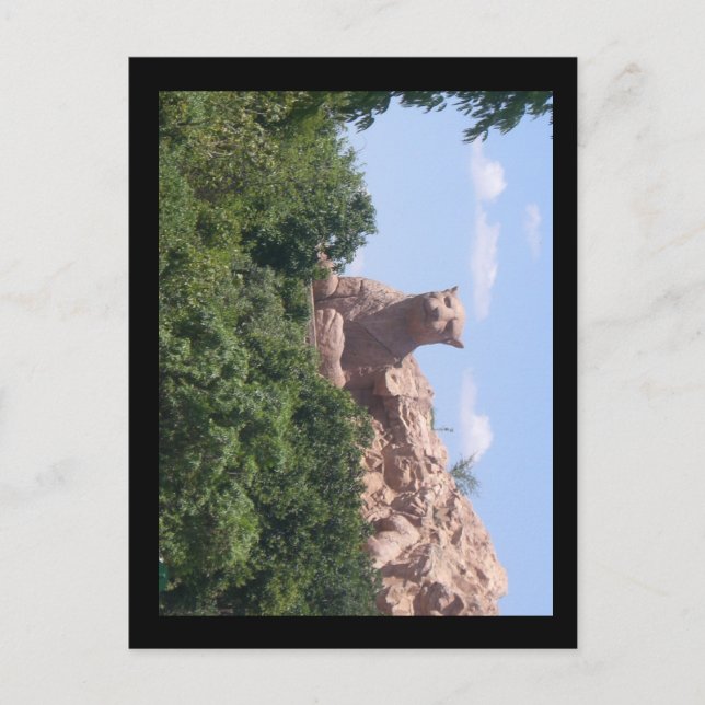 Carte Postale afrique du sud (Devant)