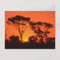 Afrique du Sud. Coucher de soleil africain.