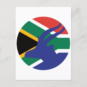 Carte Postale Afrique du Sud Springbok Antelope Afrique du Sud