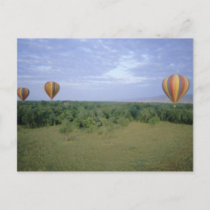 Carte Postale Afrique, Kenya, Réserve nationale du Masai Mara, 2
