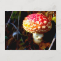 Carte postale Agaric pour vol électrique
