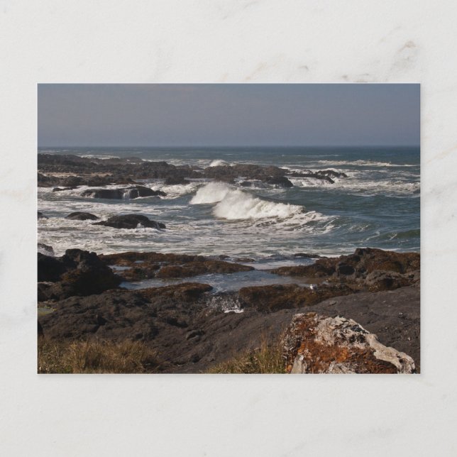 Carte Postale Agate Cove, Oregon (Devant)