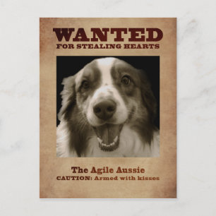 Carte Postale Agile Aussie
