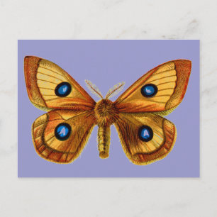 Carte Postale Aglia Tau