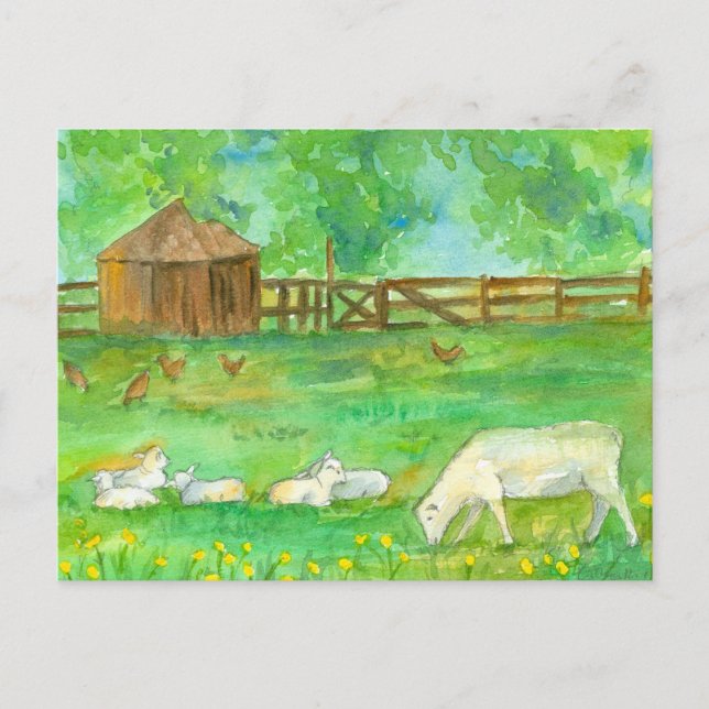 Carte Postale Agneaux de mouton Poulets Animaux de ferme Peintur (Devant)