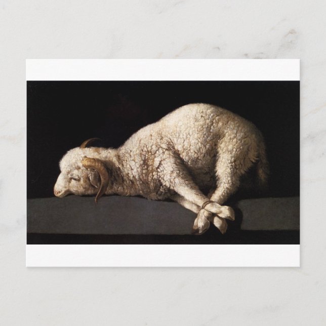 Carte Postale Agnus Dei par Francisco de Zurbaran (Devant)